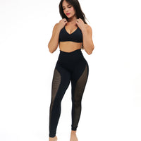 Pretinha Mesh Leggings (Thick Supplex)