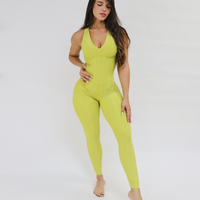 Pistachio Bodysuit (Scrunchy Supplex)