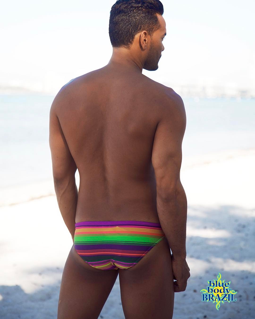 Multicolor Stripe Swim Brief