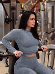Grey Bum Bum Cropped Top (Thick Supplex)